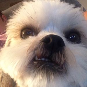 Meet your Posher, Diane